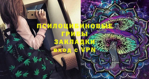 эйфоретик Алзамай