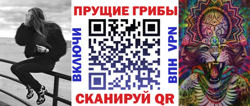 купить закладку  Берёзовский  Галлюциногенные грибы Psilocybe 