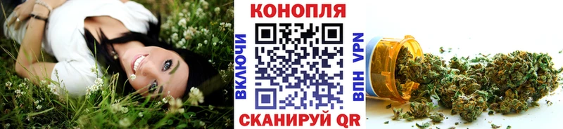 Каннабис сатива Берёзовский